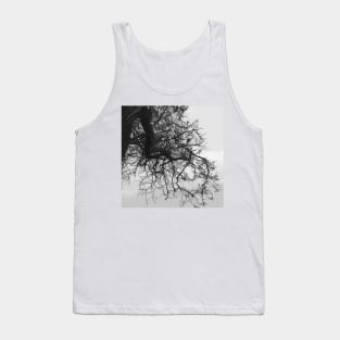 Bare Tree Branches Winter Tank Top